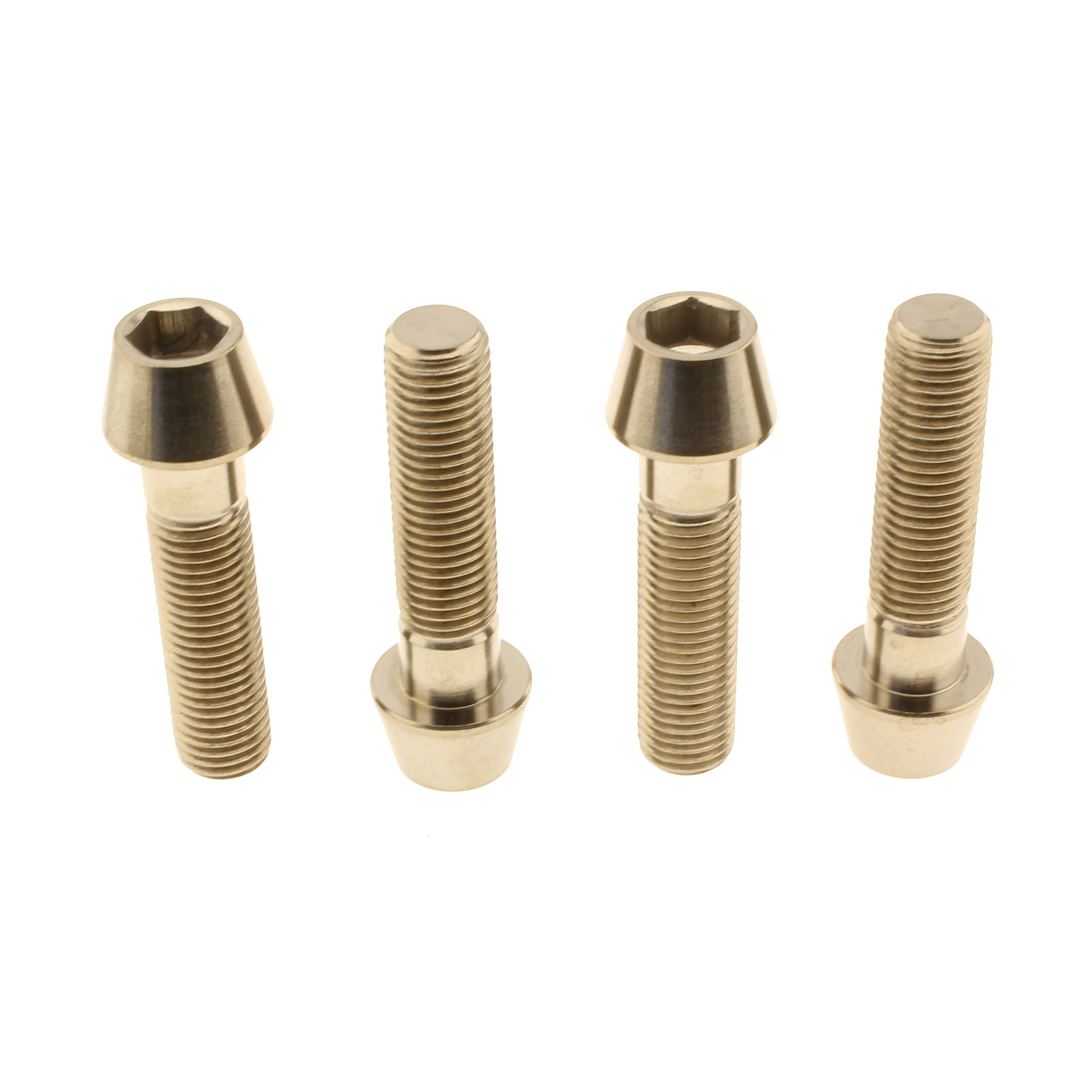 Brake caliper bolts titanium BMW R Nine T