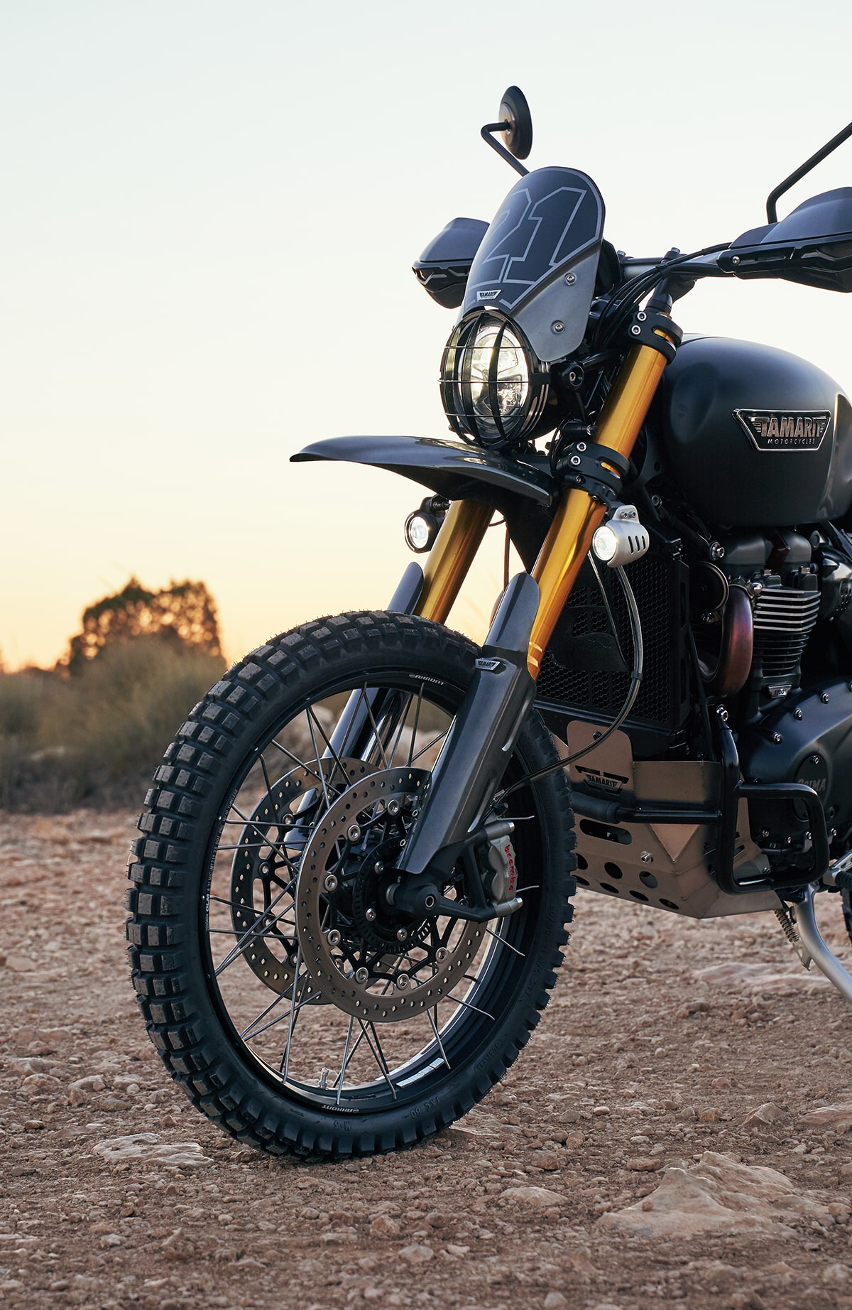 Engine Guard Triumph Scrambler 1200