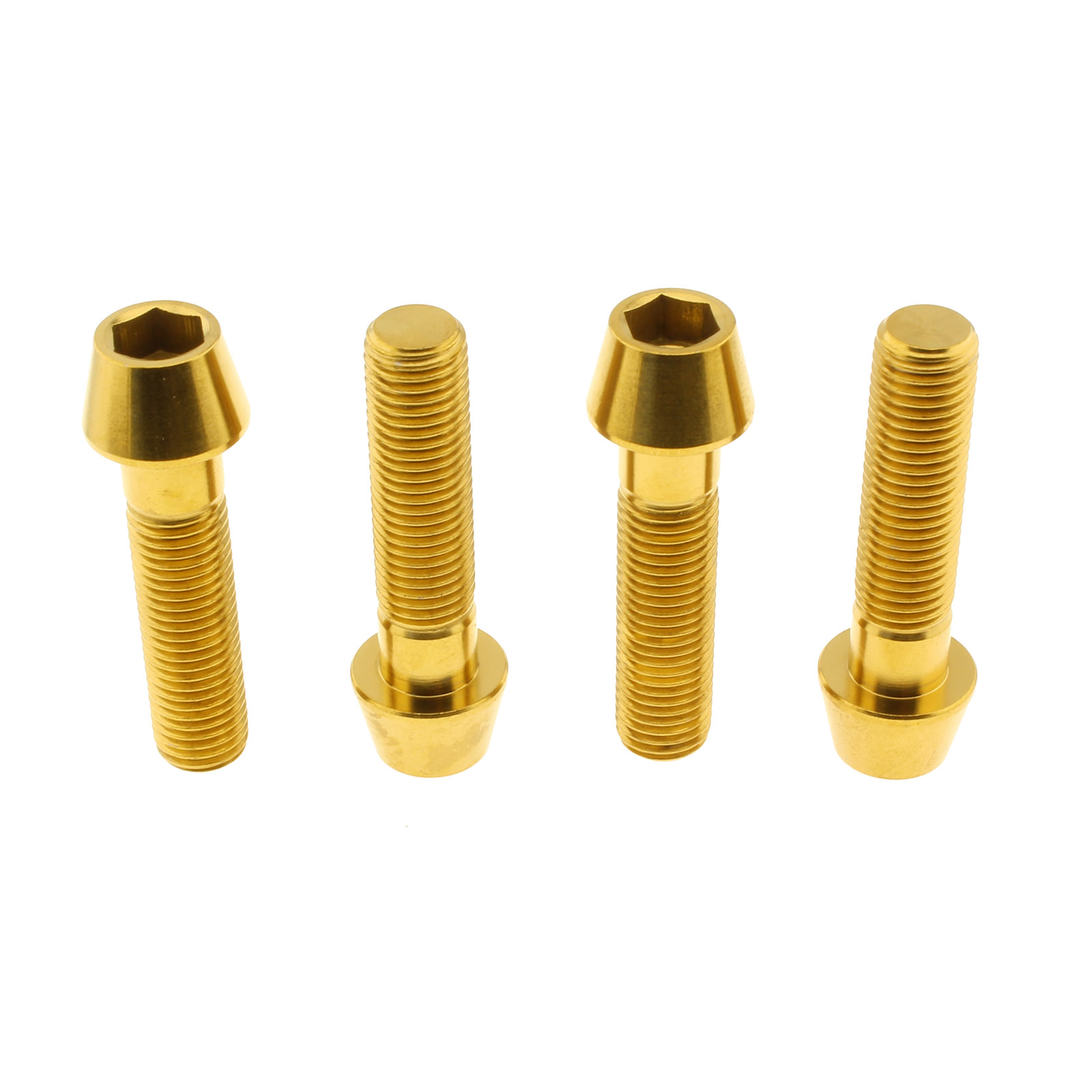 Brake caliper bolts titanium BMW R Nine T