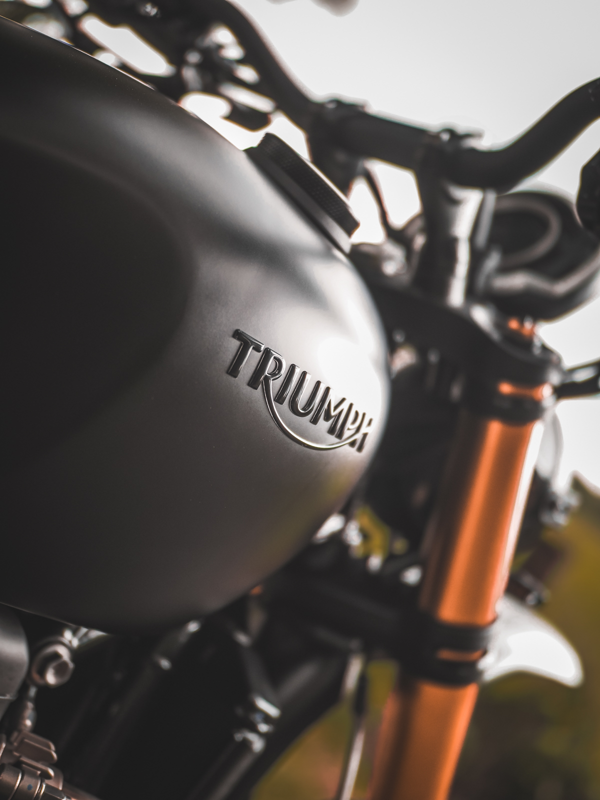 Logo Triumph 3D / autocollant