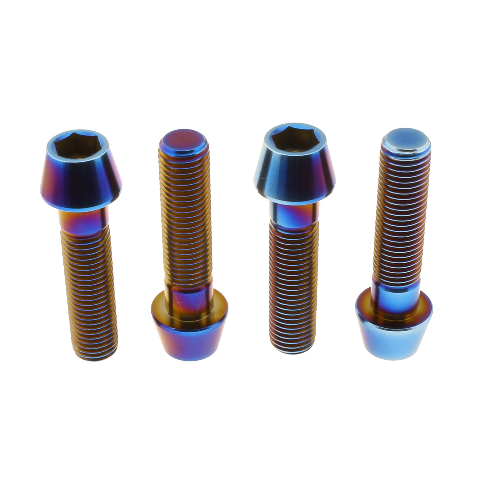 Brake caliper bolts titanium BMW R Nine T