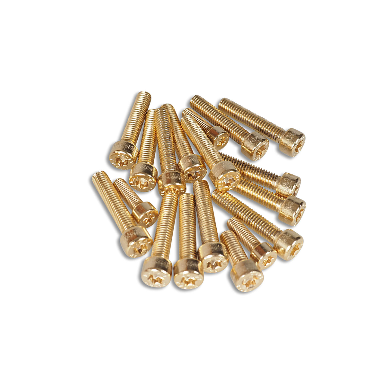 Engine cover screws stainless steel / LC / Gold